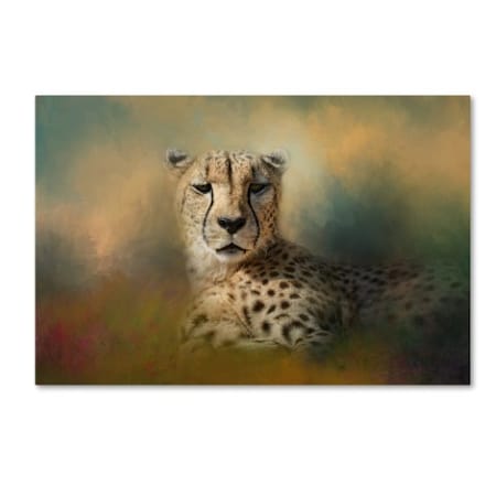 Jai Johnson 'Cheetah Enjoying A Summer Day' Canvas Art,30x47